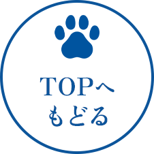 TOPへもどる